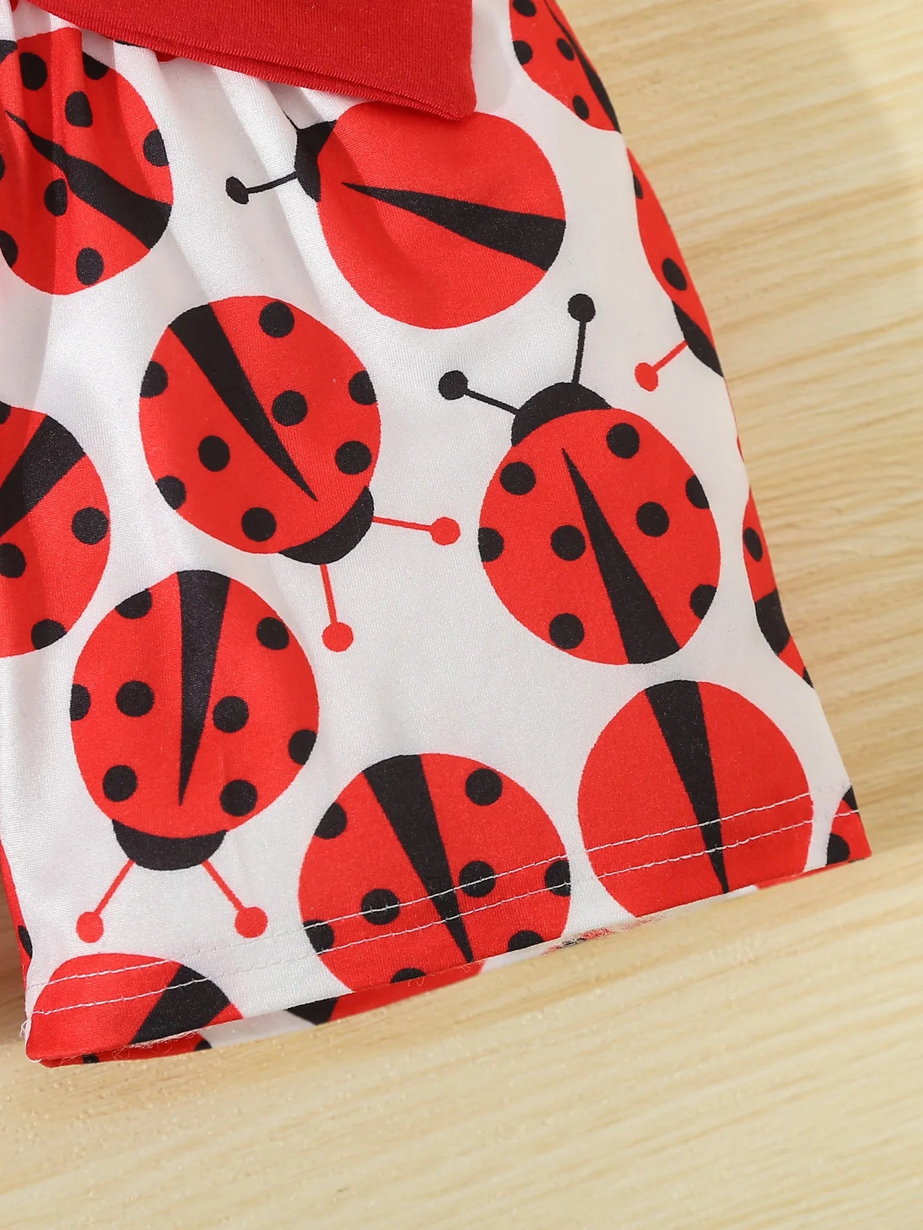 Ladybug 2pcs Set