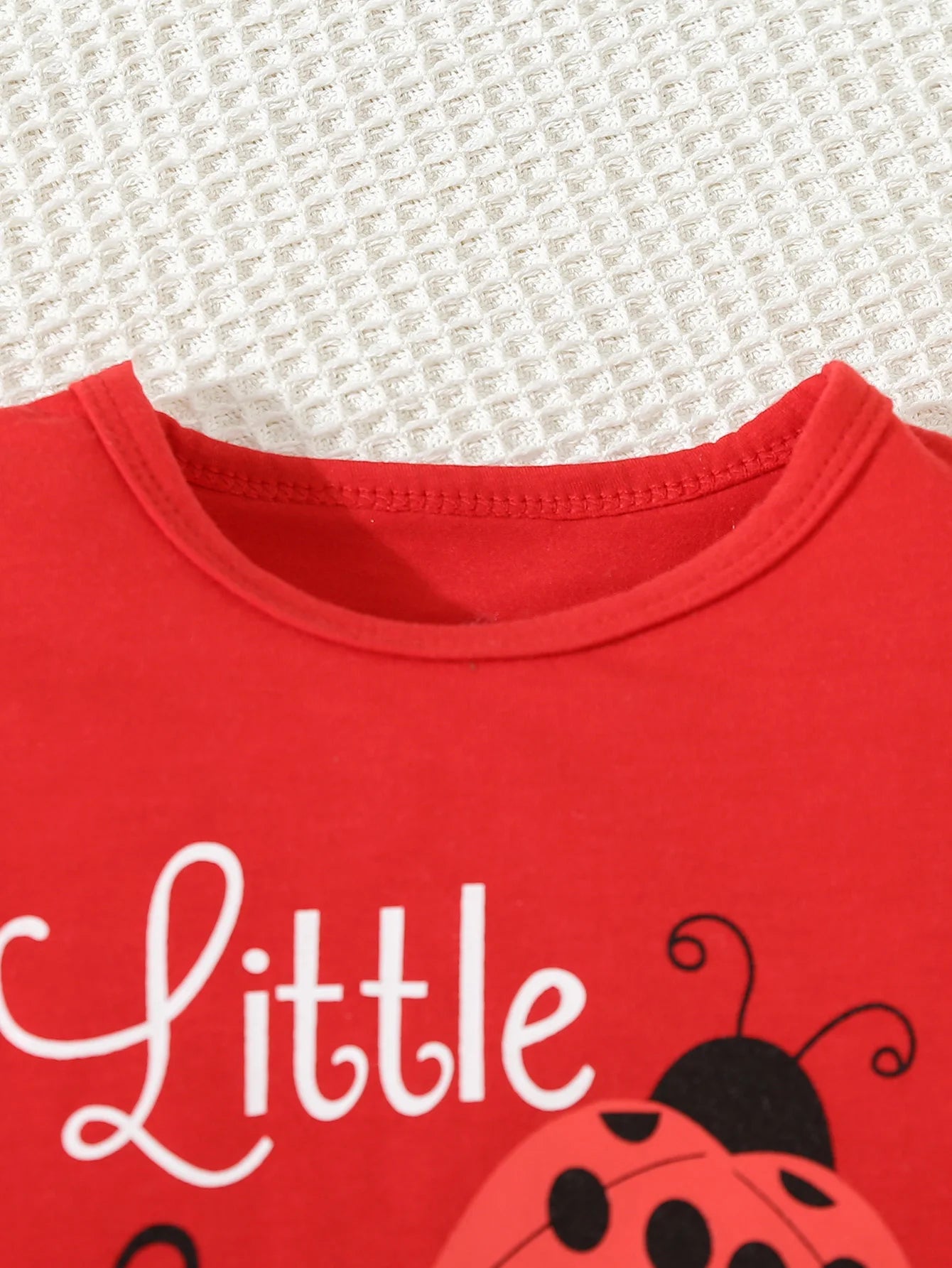 Ladybug 2pcs Set