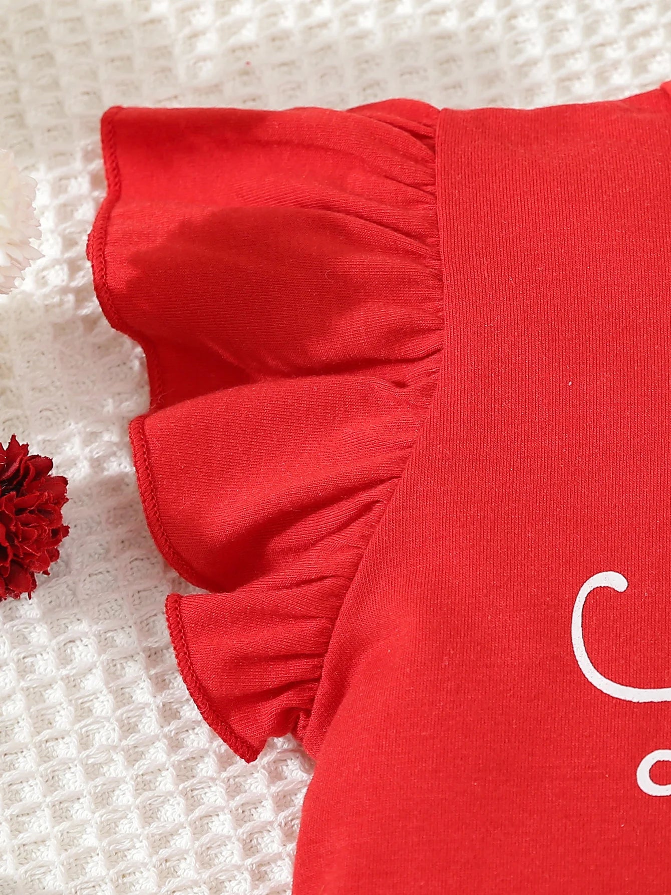 Ladybug 2pcs Set