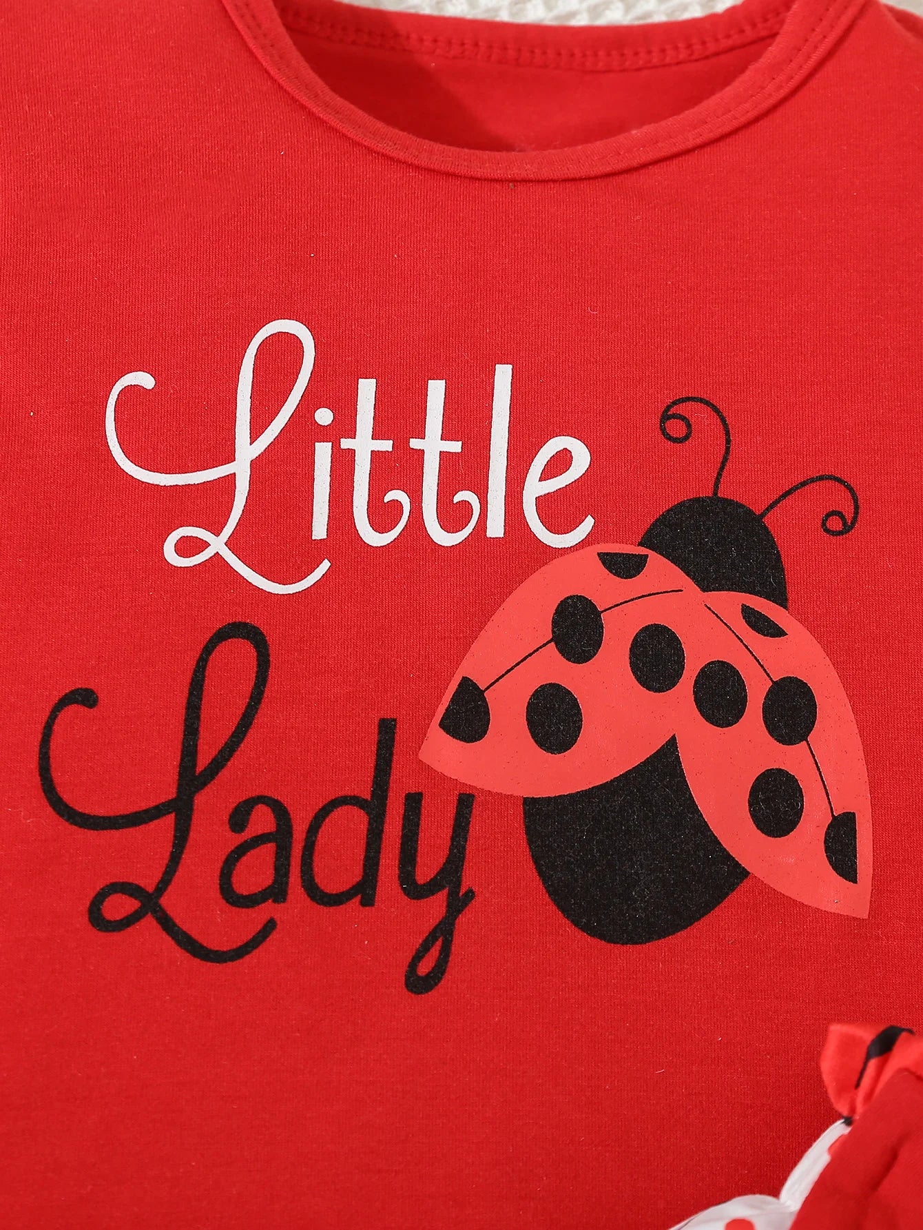 Ladybug 2pcs Set