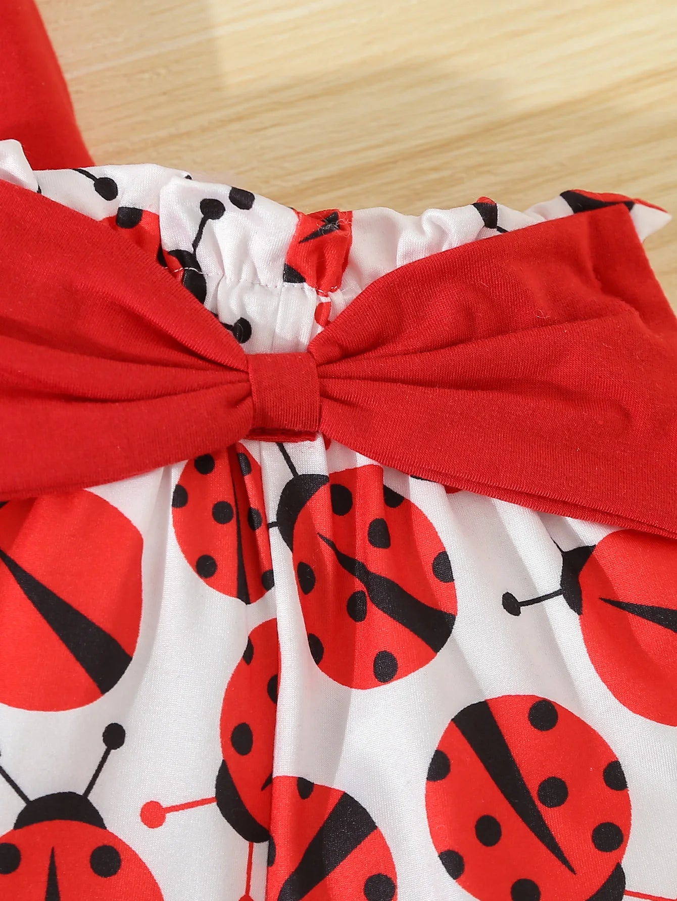 Ladybug 2pcs Set
